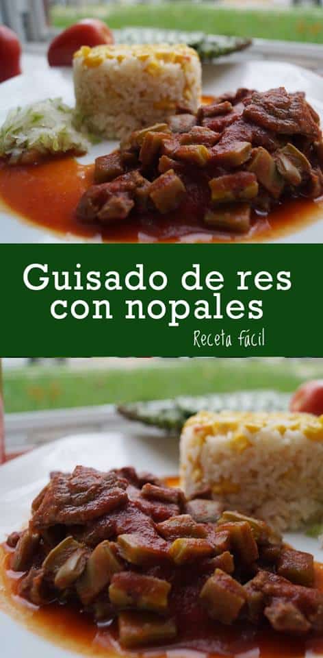 Carne con Nopales y Chile Colorado | Las Recetas de Laura