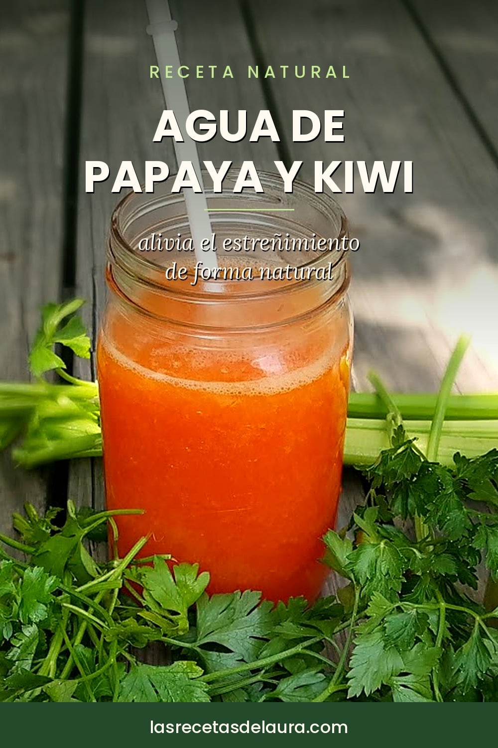 agua papaya kiwi 02 pin espanol