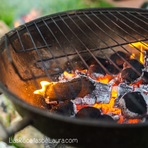 Como prender el carbon