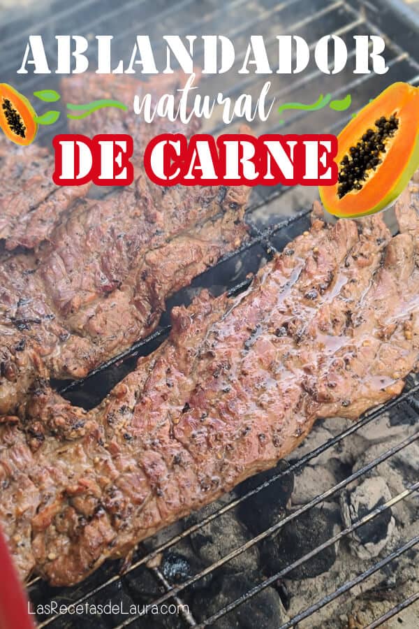 ABLANDADOR DE CARNE