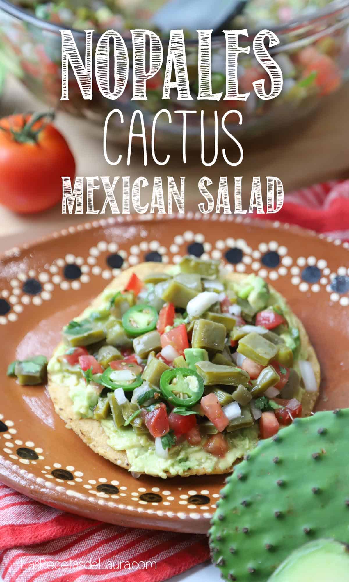 Recipes for Nopalitos - Nopales cactus mexican salad