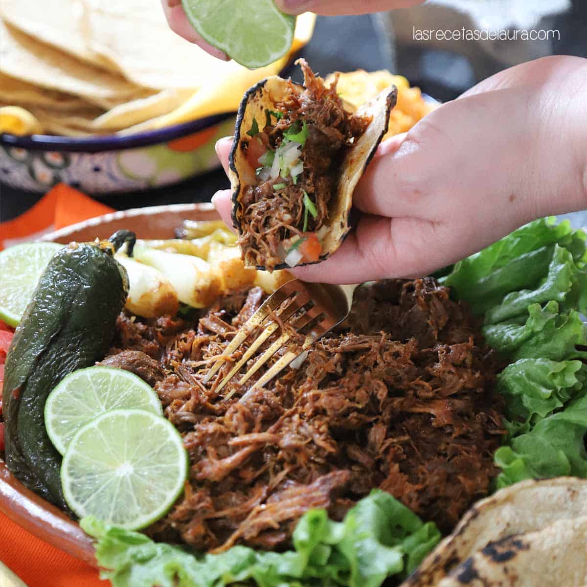 tacos de barbacoa