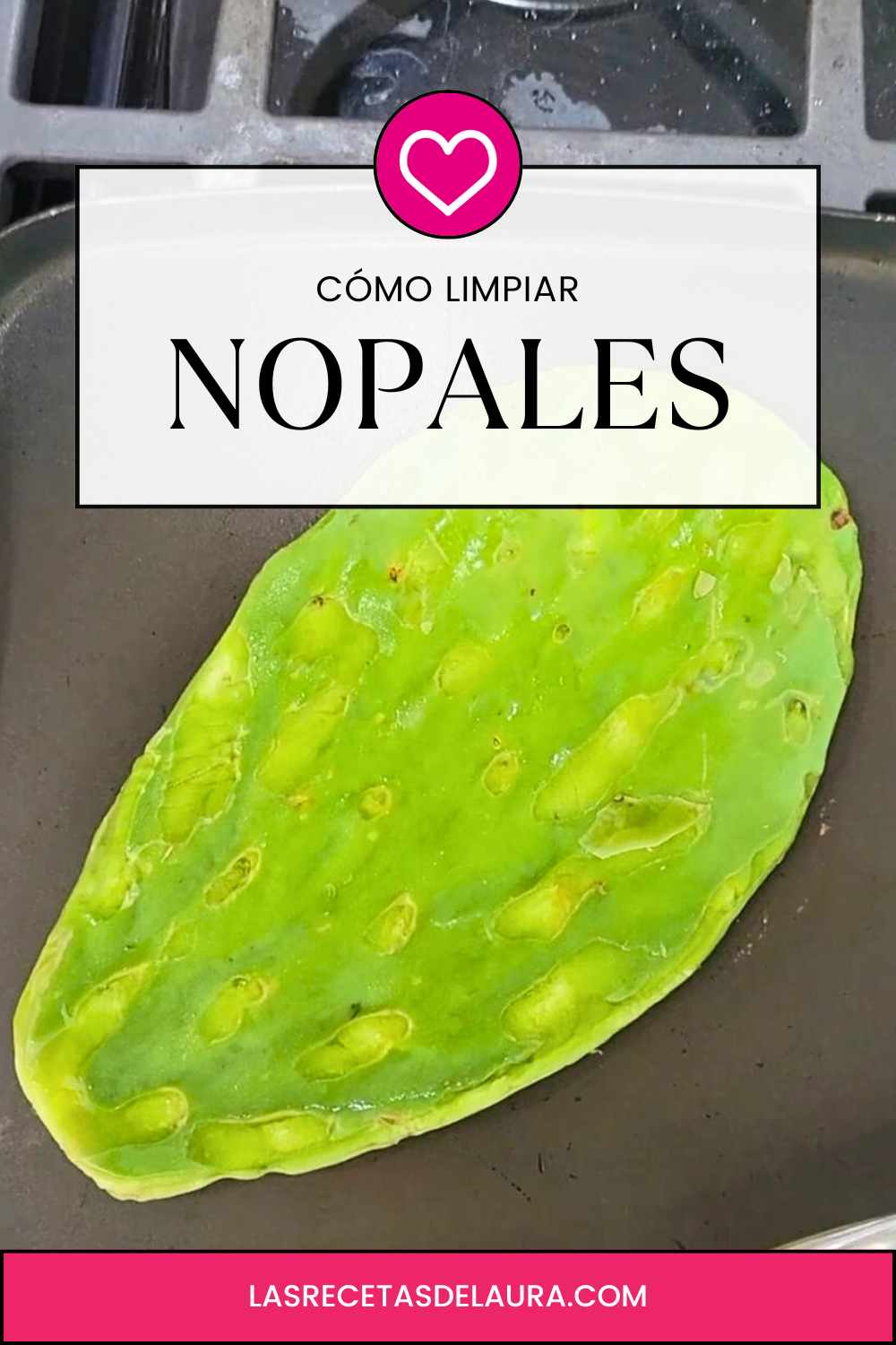 Cómo limpiar nopal